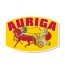 Auriga